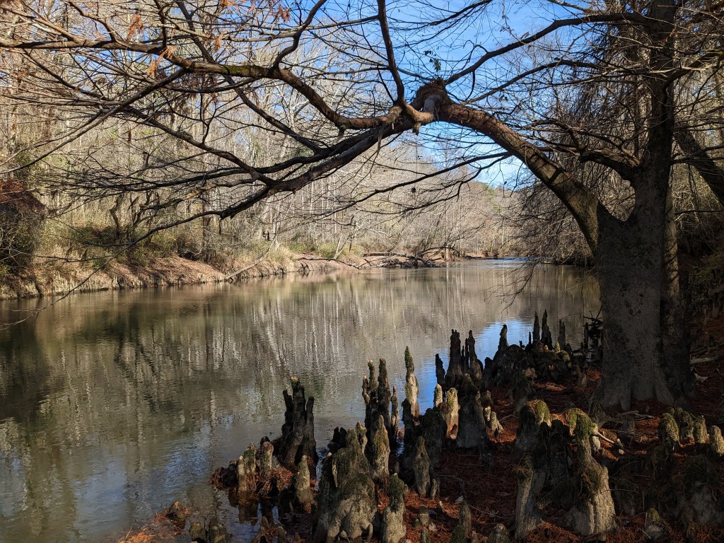 Did my ancestor suffer from seasonal depression?